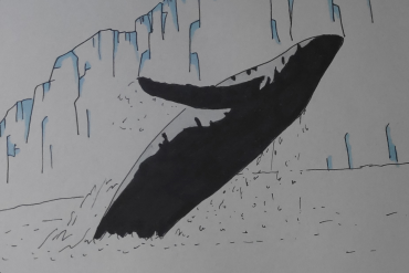 Day 12<br>Whale